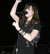 95.jpg