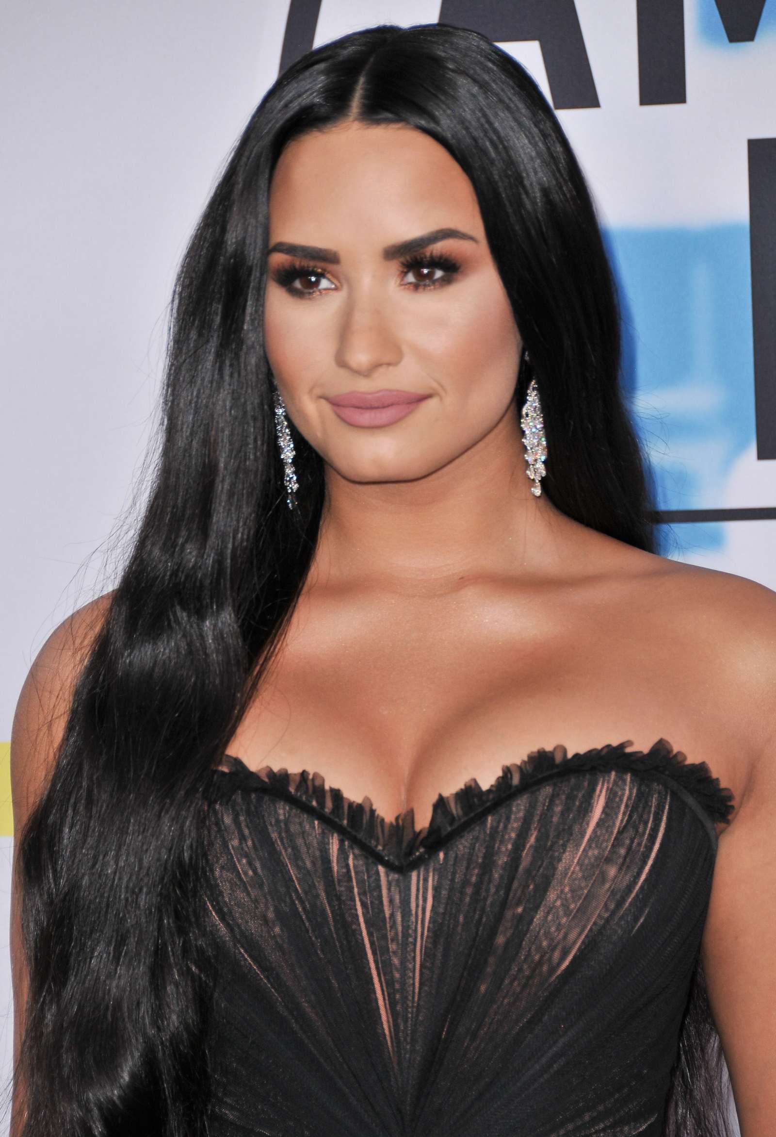 Demi_Lovato_-_2017_American_Music_Awards_-_November_19-02~0.jpg