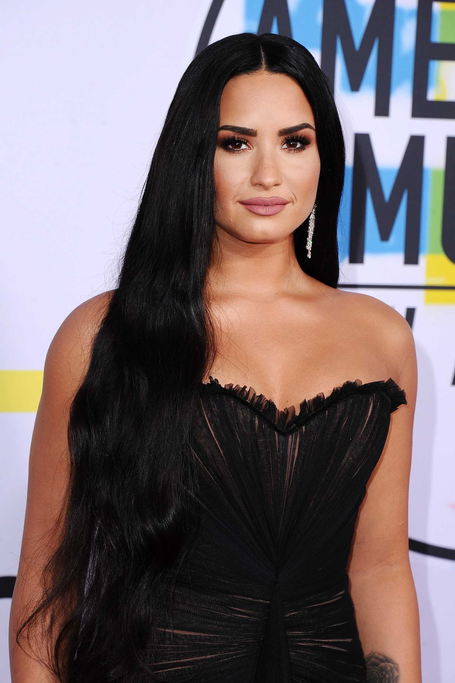Demi_Lovato_-_2017_American_Music_Awards_-_November_19-04.jpg