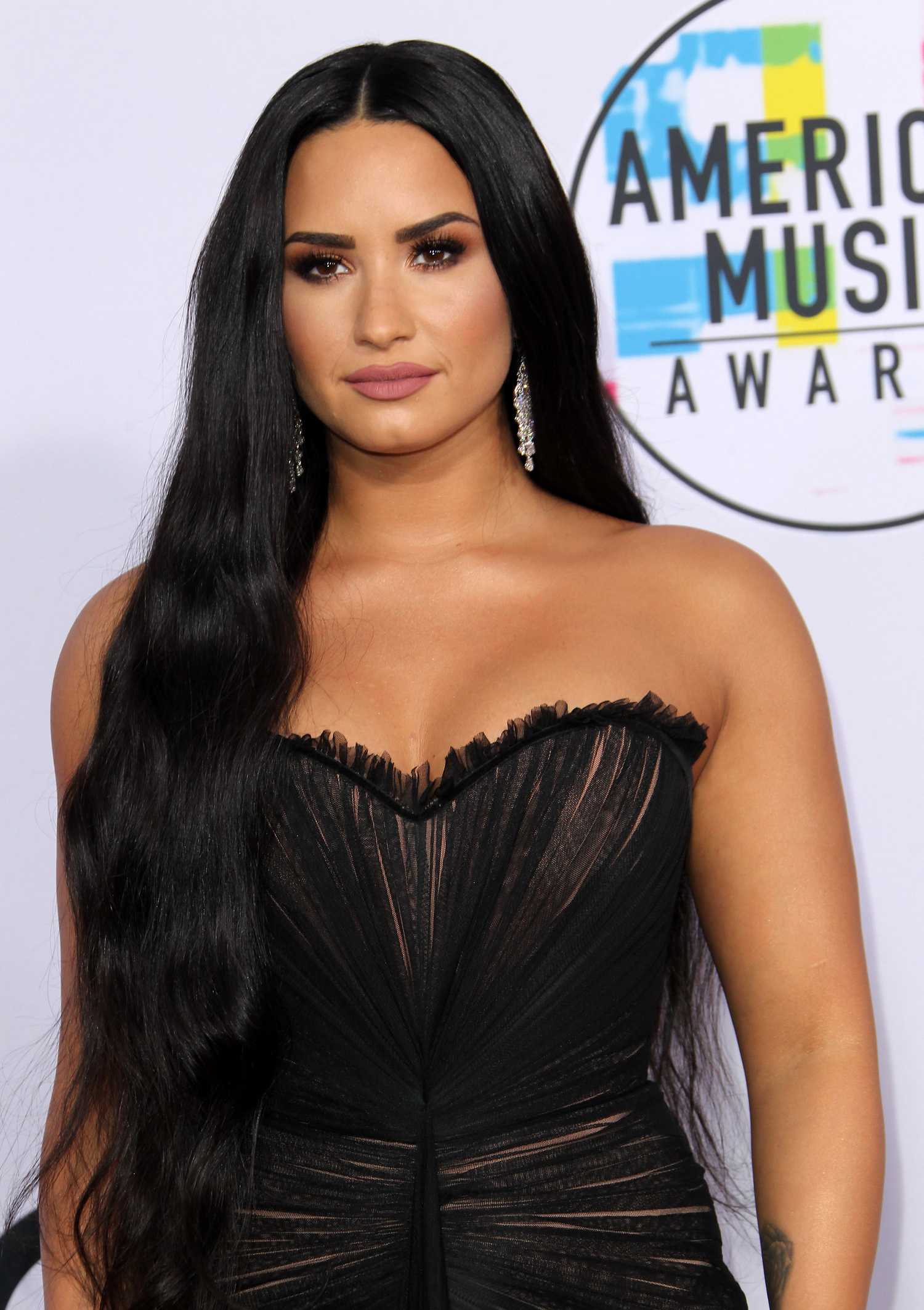 Demi_Lovato_-_2017_American_Music_Awards_-_November_19-06.jpg