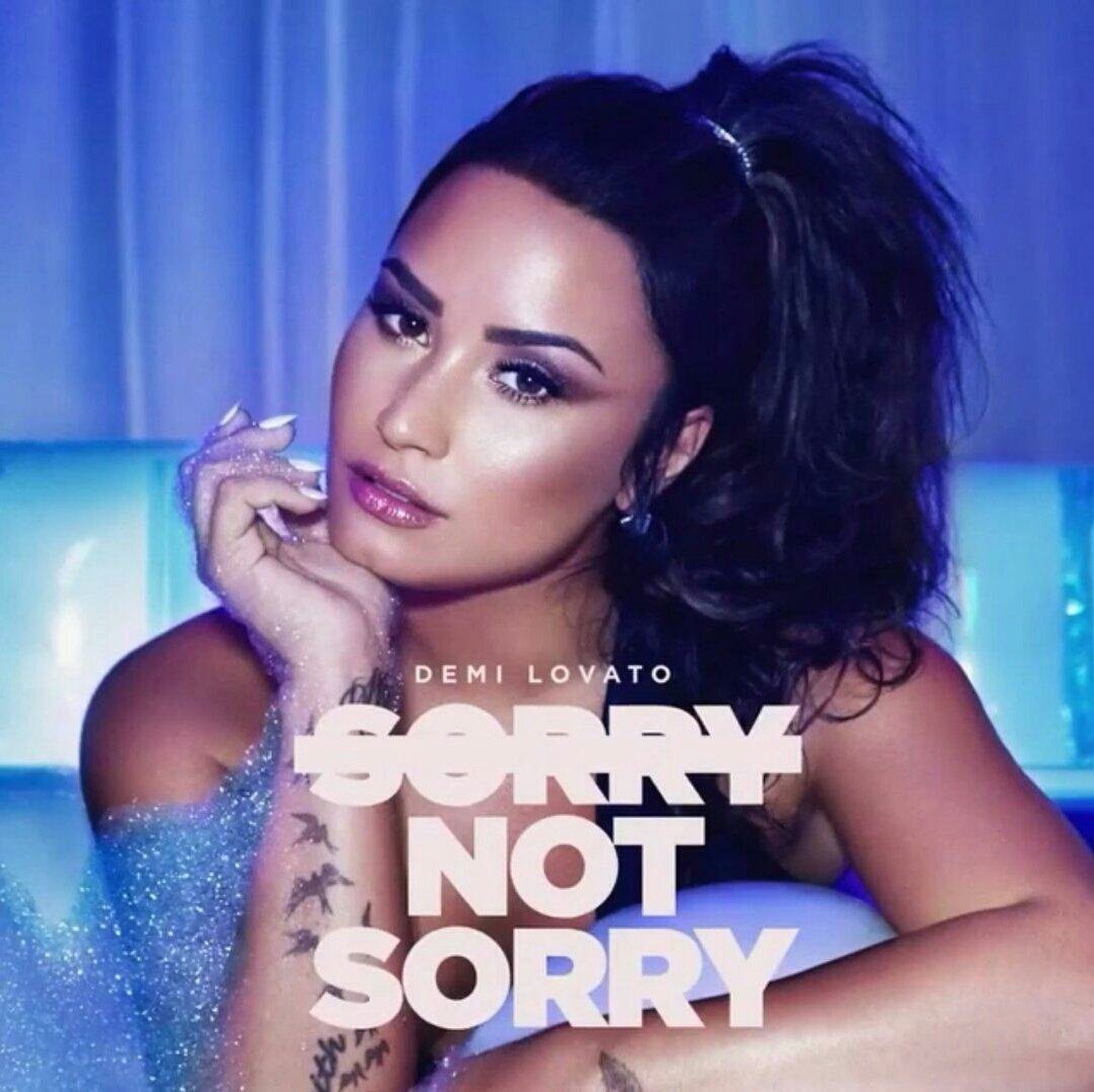 SorryNotSorry.jpg